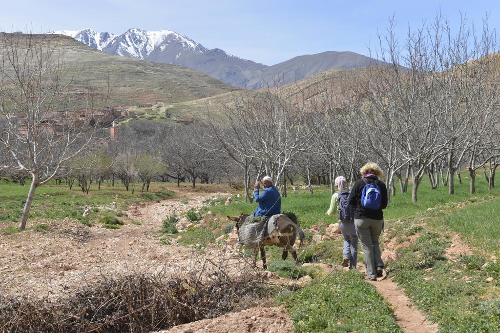Maroc Lodge Atlas Mountain Retreat Amizmiz Ngoại thất bức ảnh